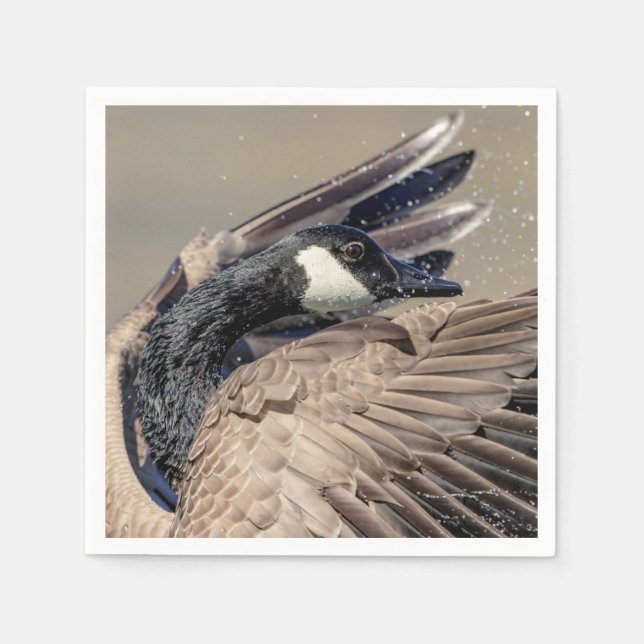Kanada Goose Pappersservett (Framsidan)