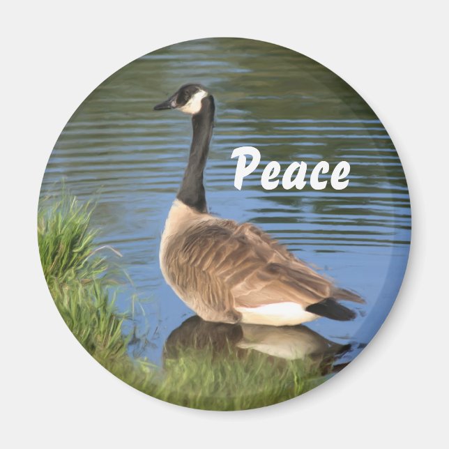 Kanada Goose Peace Inspirational Magnet (Framsidan)