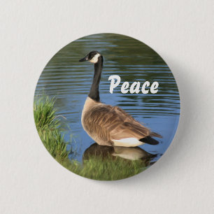 Kanada Goose Peace-inspirationsknapp Knapp