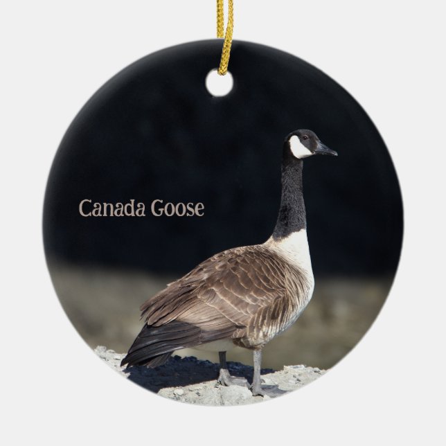 Kanada Goose Photo Ornament (Framsidan)