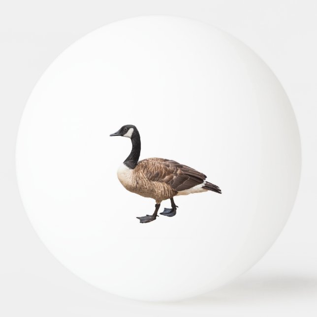Kanada Goose Pingisboll (Framsidan)