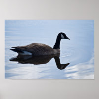 Kanada Goose