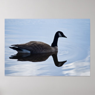 Kanada Goose Poster
