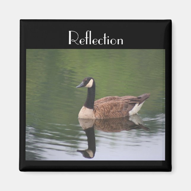 Kanada Goose Reflection Inspirational Magnet (Framsidan)