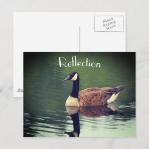 Kanada Goose Reflection Inspirational Vykort