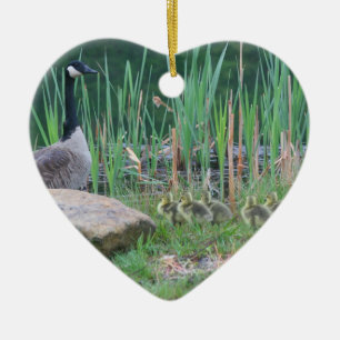 Kanada Goose Spädbarn Animal Ornament