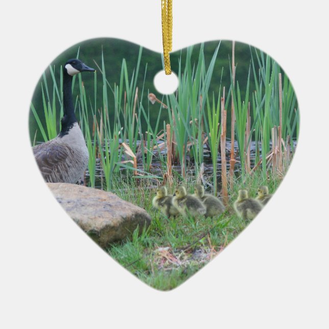 Kanada Goose Spädbarn Animal Ornament (Framsidan)