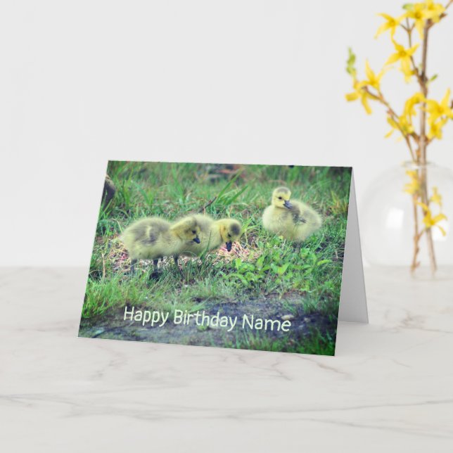 Kanada Goose Spädbarn Nature Birthday Card Kort (Gul blomma)