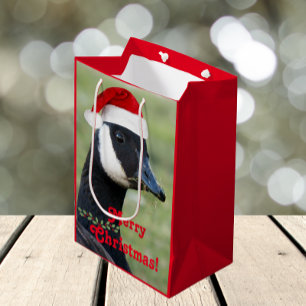 Kanada Goose Wearing Red Santa Hat Helgdag