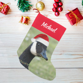 Kanada Goose Wearing Red Santa Hat med Namn Liten Julstrumpa