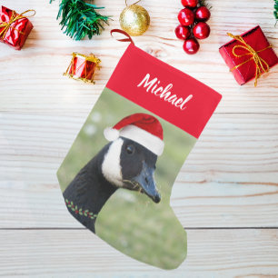 Kanada Goose Wearing Red Santa Hat med Namn Liten Julstrumpa