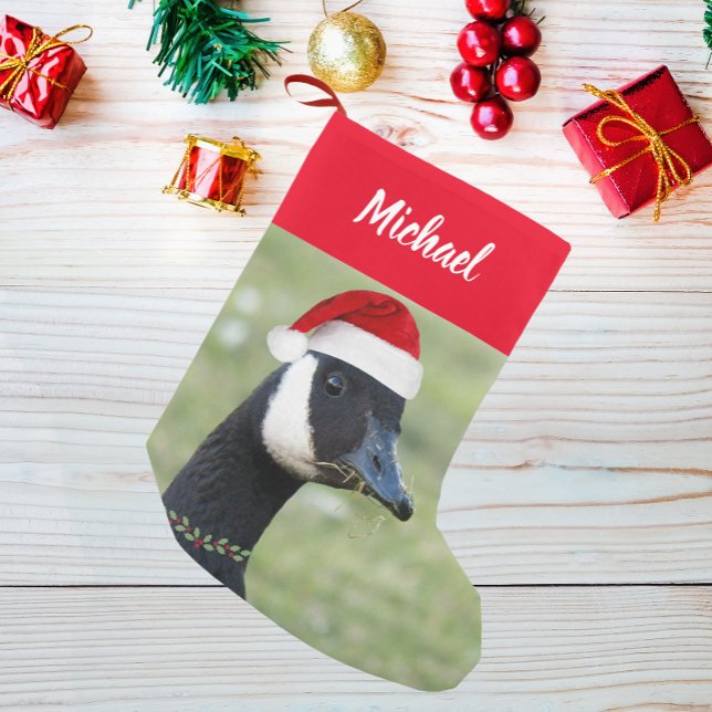 Kanada Goose Wearing Red Santa Hat med Namn Liten Julstrumpa (In Situ)