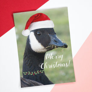 Kanada Goose Wearing Santa Hat Helgdag Helgkort
