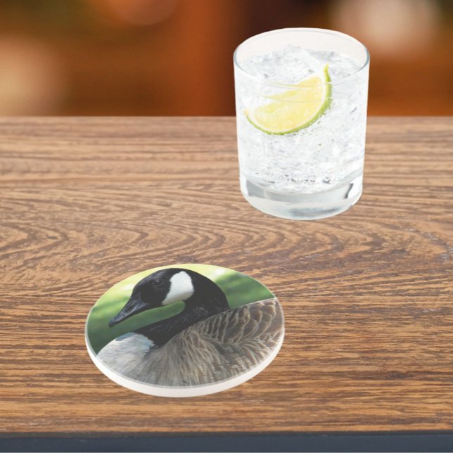 Kanada Goose Wildlife Photo Sandstone Underlägg (In Situ)