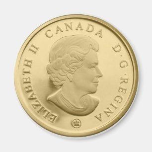 Kanada guld- dollaransikte magnet