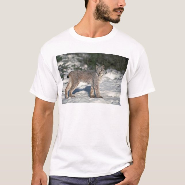 Kanada lodjur på snö t shirt (Framsida)