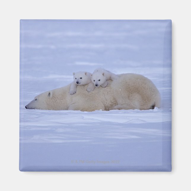 Kanada Magnet (Framsidan)