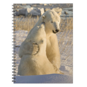 Kanada, Manitoba, Hudson Bay, Churchill. Anteckningsbok Med Spiral