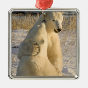 Kanada, Manitoba, Hudson Bay, Churchill. Julgransprydnad Metall