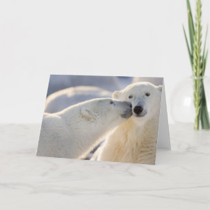 Kanada, Manitoba, Hudson Bay, Churchill. Polar Kort