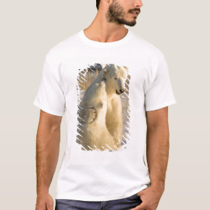 Kanada, Manitoba, Hudson Bay, Churchill. T-shirt