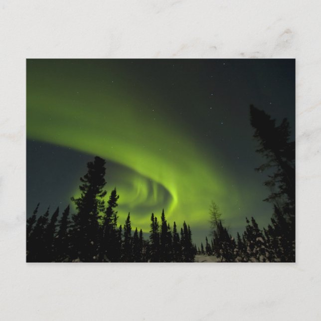 Kanada, Manitoba. Visa aurorans borealis och Vykort (Framsida)