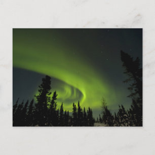 Kanada, Manitoba. Vy över norrsken och Vykort