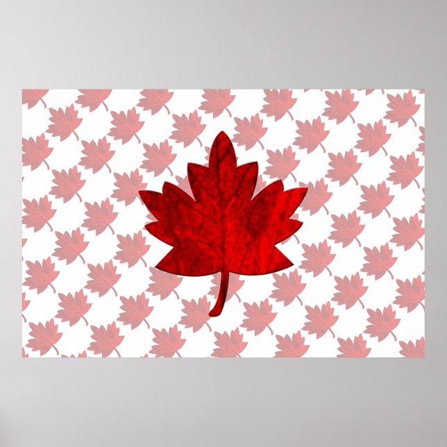 Kanada-Maple Löv av Shirley Taylor Poster (Framsidan)