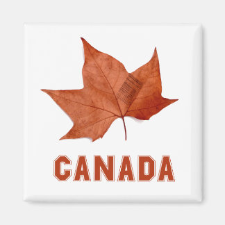 Kanada Maple Löv Heroic Symbol Magnet