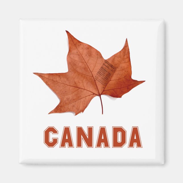Kanada Maple Löv Heroic Symbol Magnet (Framsidan)