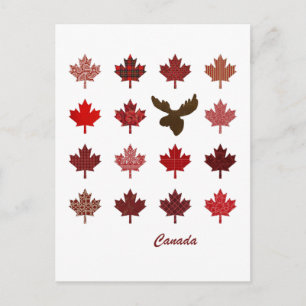 Kanada Maple Löv och Moose-vykort Vykort