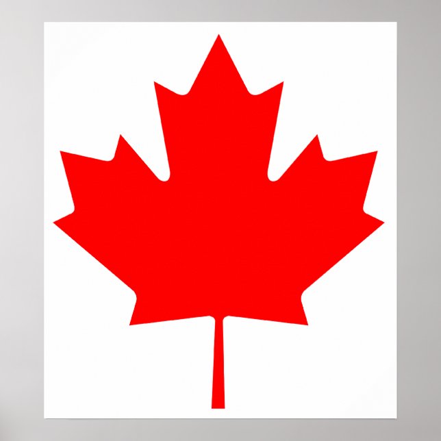 Kanada Maple Löv Poster (Framsidan)