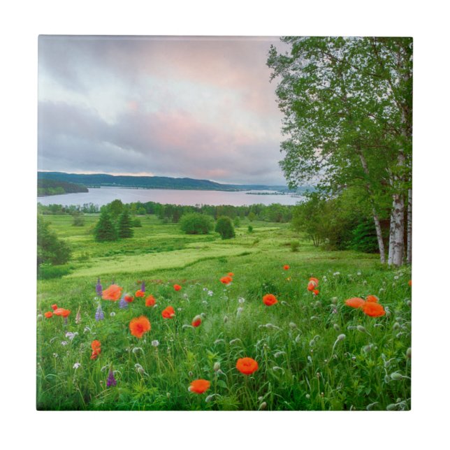 Kanada, New Brunswick, ,  3 Kakelplatta (Framsidan)