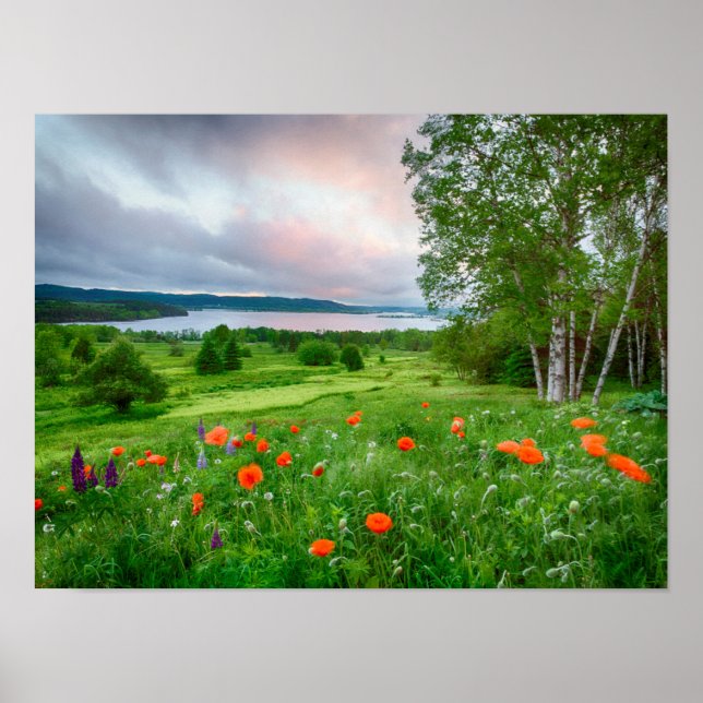 Kanada, New Brunswick, 3 Poster (Framsidan)