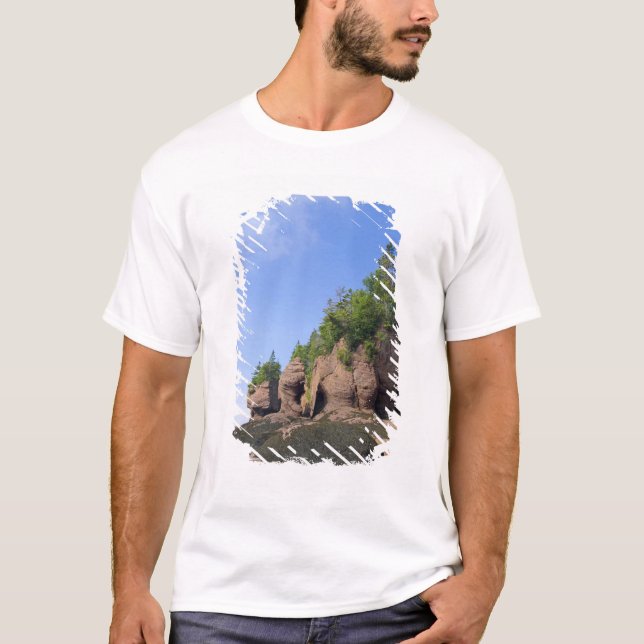 Kanada, New Brunswick, Hopewell Cape, Bay of Tröja (Framsida)