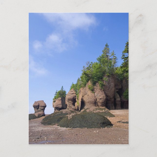 Kanada, New Brunswick, Hopewell Cape, Bay Vykort (Framsida)