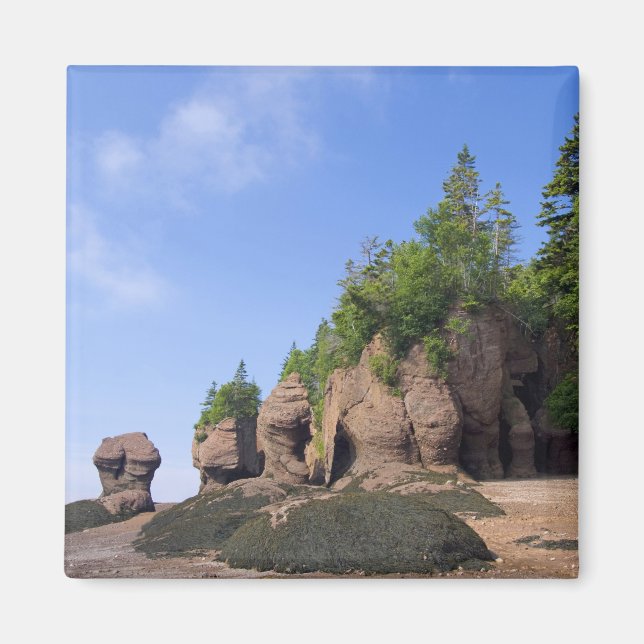 Kanada, New Brunswick, Hopewell Cape, vik av Magnet (Framsidan)