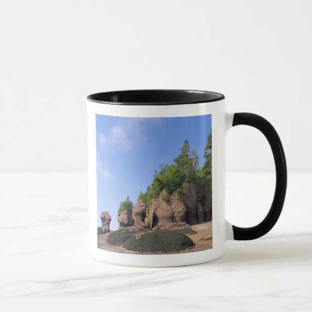 Kanada, New Brunswick, Hopewell Cape, vik av Mugg (Höger)