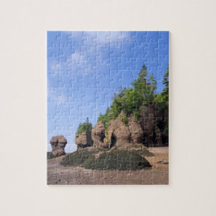 Kanada, New Brunswick, Hopewell Cape, vik Pussel