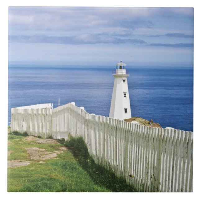 Kanada, Newfoundland, Cape Spear National 2 Kakelplatta (Framsidan)