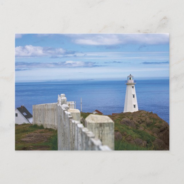 Kanada, Newfoundland, Cape Spear National 3 Vykort (Framsida)