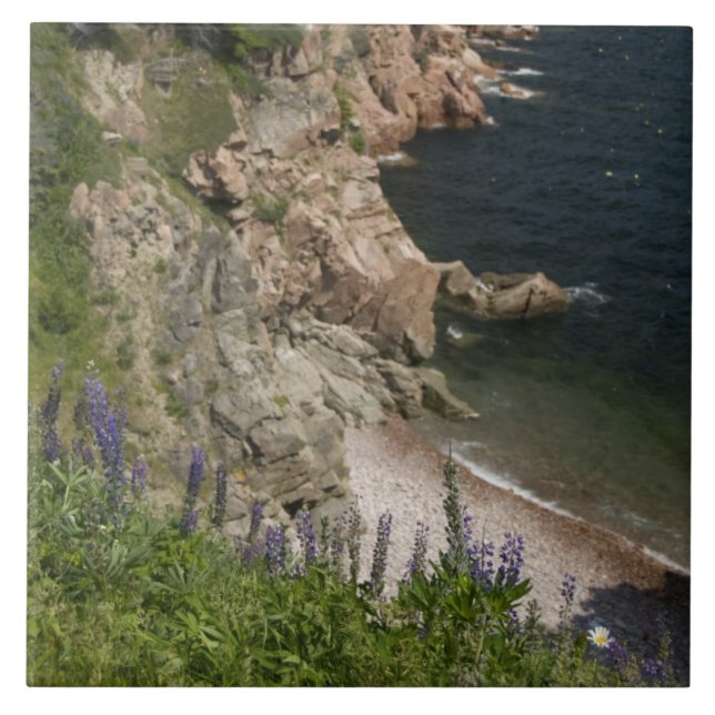Kanada, Nova Scotia, Cape Breton Island, Cabot 3 Kakelplatta (Framsidan)
