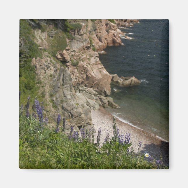 Kanada, Nova Scotia, Cape Breton Island, Cabot 3 Magnet (Framsidan)