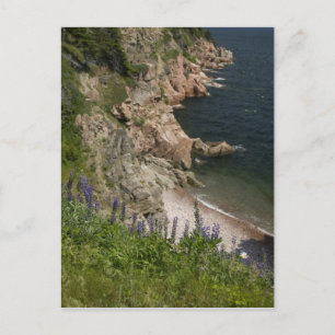 Kanada, Nova Scotia, Cape Breton Island, Cabot 3 Vykort