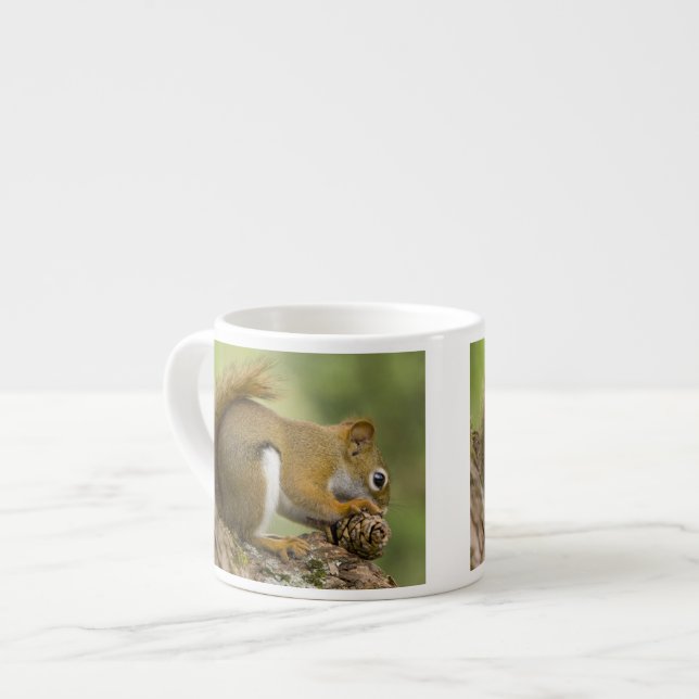 Kanada, Nova Scotia, Halifax. Allmänna trädgårdar, Espressomugg (Framsida vänster)