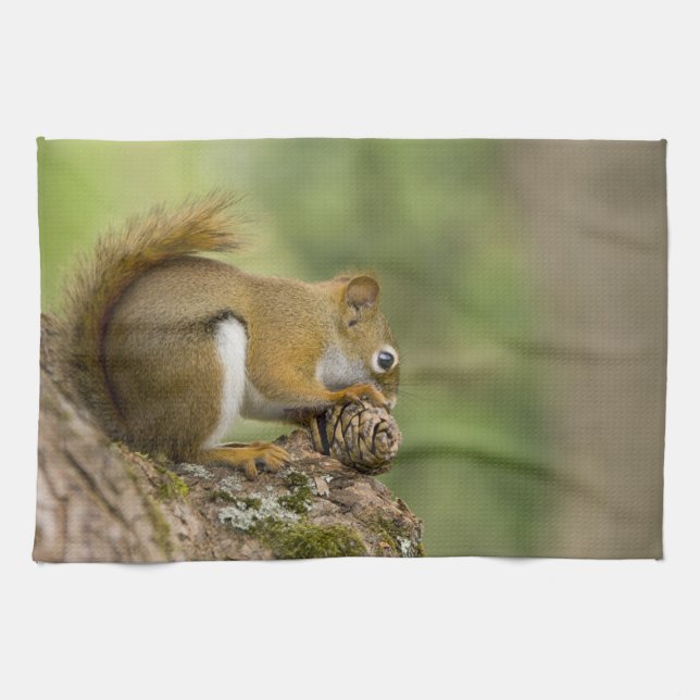 Kanada, Nova Scotia, Halifax. Offentliga trädgårda Kökshandduk (Horisontell)