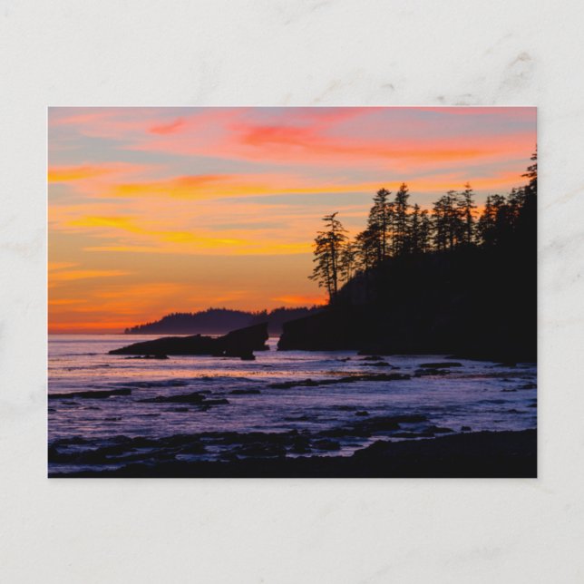Kanada, Pacific Rim National Park Reserve, Väster Vykort (Framsida)