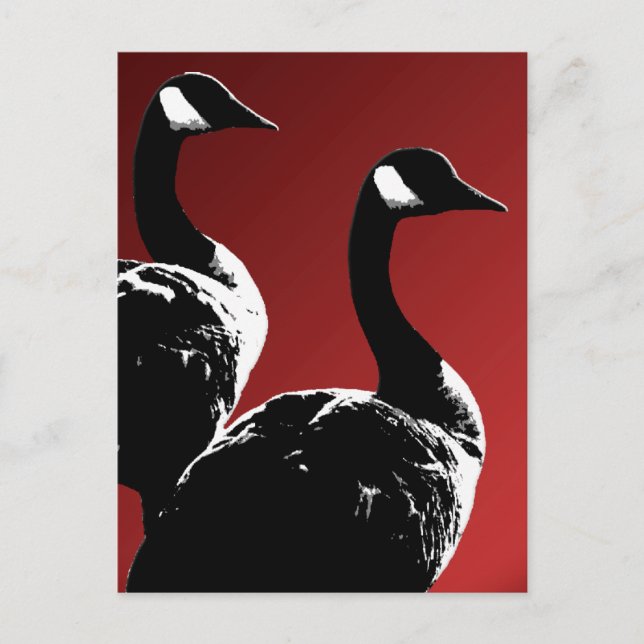 Kanada Postcard Anpassningsbar Canada Goose Postca Vykort (Framsida)
