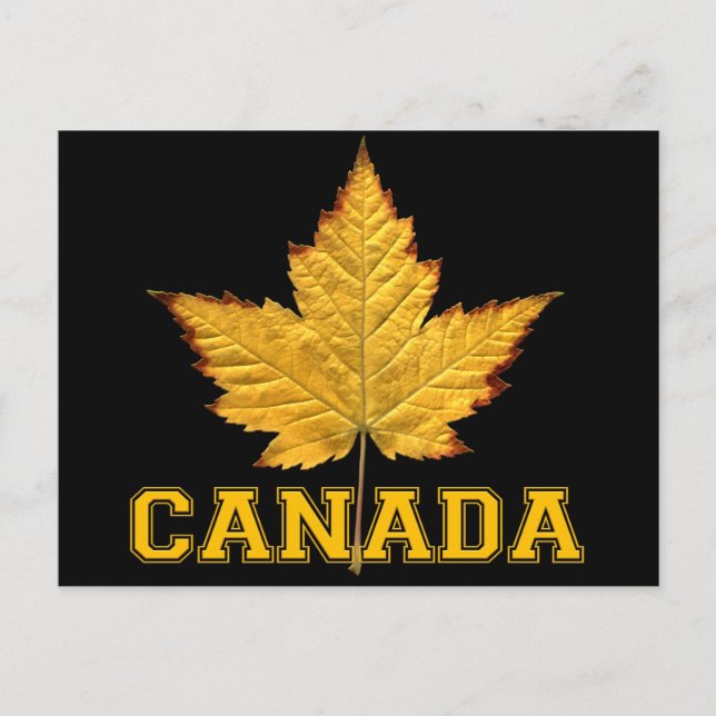 Kanada Postcards Varsity Kanada Souvenir Postcards Vykort (Framsida)