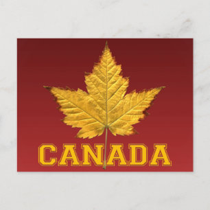Kanada Postcards Varsity Kanada Souvenir Postcards Vykort
